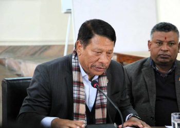 उपप्रम सिंहलाई कार्यवाहक प्रमको जिम्मेवारी