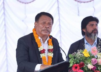 युटिलिटी करिडोरको अवधारणाले विकास निर्माणको कामलाई राम्रो गर्ने