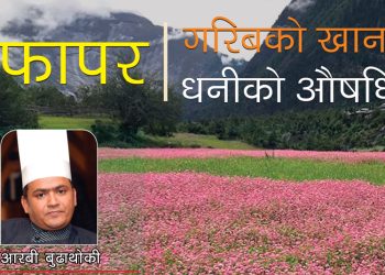 किन खाने फापर? के-के पोषणतत्व पाइन्छ?