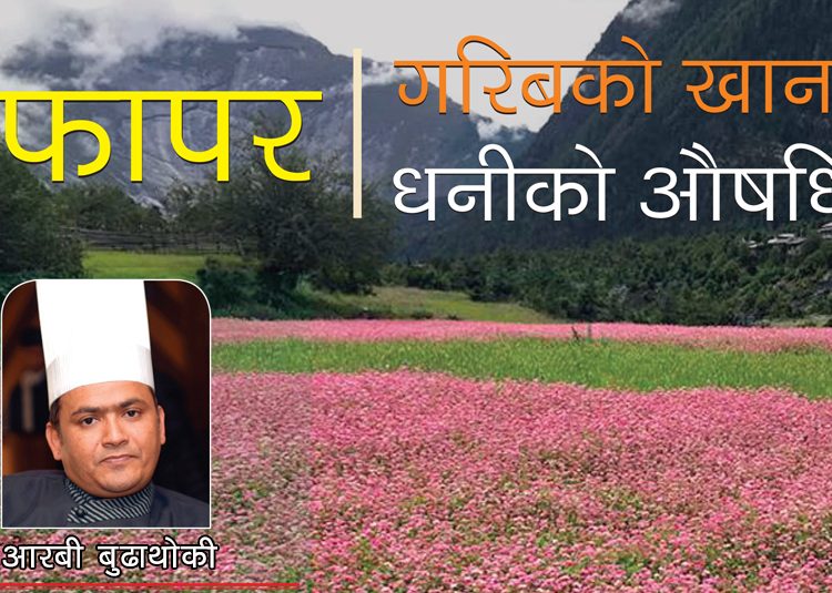 किन खाने फापर? के-के पोषणतत्व पाइन्छ?