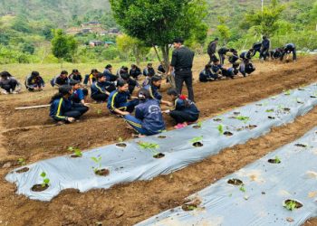 विद्यार्थीलाई धान राेप्न सिकाईदै