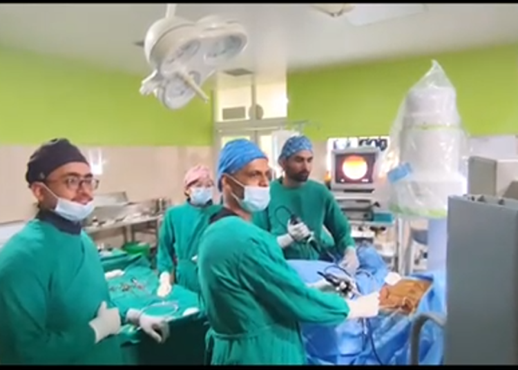 सर्जरीबाट मिर्गौलाको पत्थरी निकालिदियाे