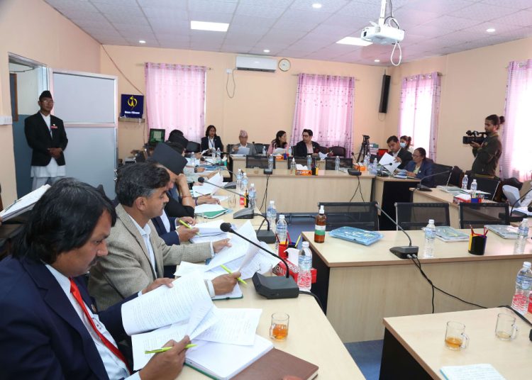 विपद् जोखिम न्यूनिकरण गर्न पूर्वतयारी गर्नुपर्नेमा जोड
