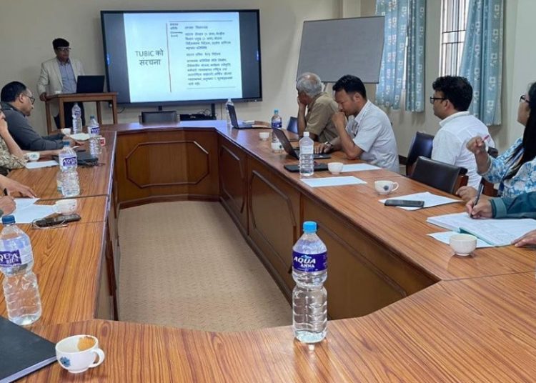 टियुबिआइसी स्थापना गरेर विचारलाई उत्पादनमा बदल्ने