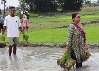नेपालबाट बाहिइयाे धान चामल खरिदमा ३९ अर्ब