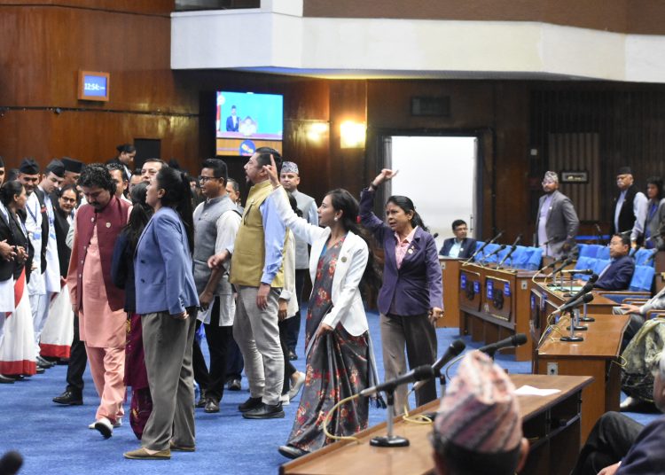 सभामुखले पेलेरै चलाए संसद