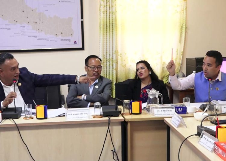 नागरिक बेच्नुपर्नेलाई लिएर सांसदहरुबीच चर्को विवाद