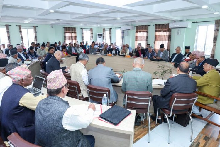 एमालेले पार्टीको विधान संशोधनसम्बन्धी प्रस्ताव पारित
