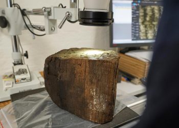 डेनमार्कमा ८ हजार ५ सय वर्षअघिको तटीय बस्ती फेला