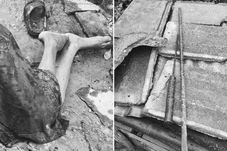 छोराले गरे आमाको हत्या