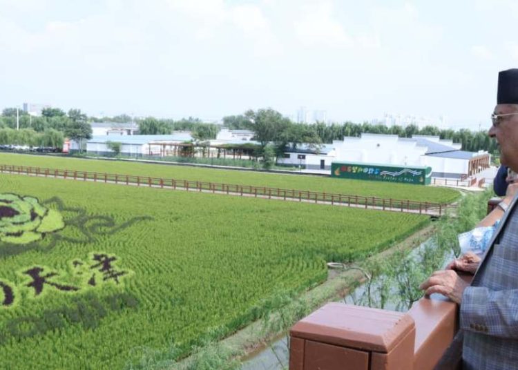 प्रधानमन्त्रीले गरे जिनानको धान उत्पादन विशेष क्षेत्रको भ्रमण