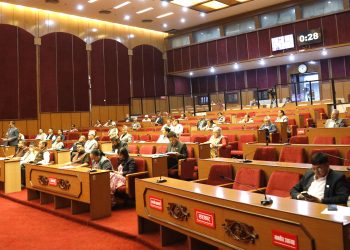 राष्ट्रिय गौरवका आयोजना बेलैमा सम्पन्न गर्न माग