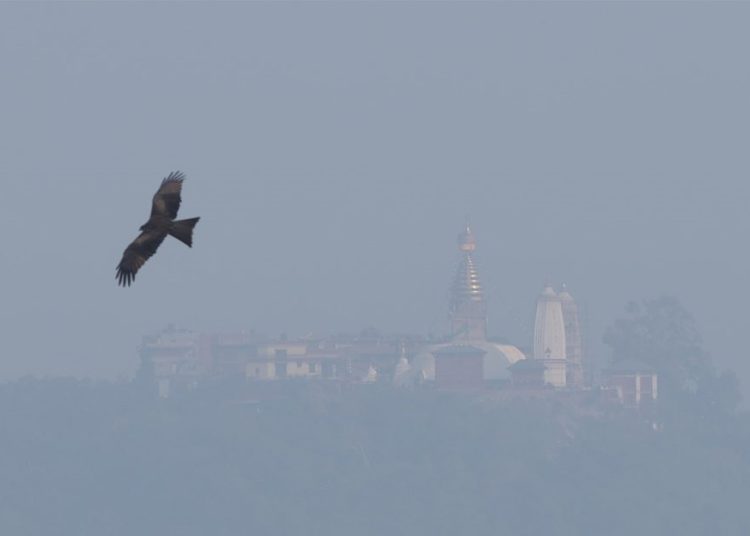 गम्भीर वायु प्रदूषणले जमिनमा वर्षा घट्दा  समुद्रमा वर्षा अझै तीव्र