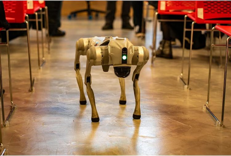 प्रविधियुत्त रोबोटिक कुकुरबाट युद्ध लडिने