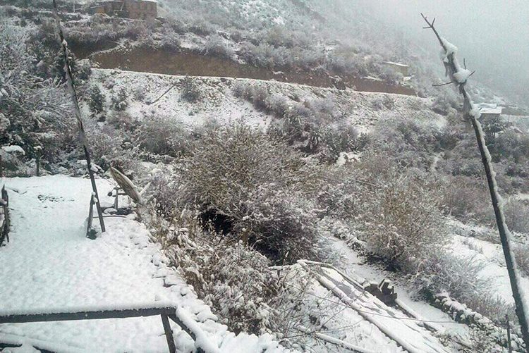 लिमी घुम्न गएका ४० जनाभन्दा बढी यात्रु अलपत्र