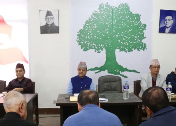 कांग्रेस केन्द्रीय कार्यसमितिको बैठक मंसिर ४ गते