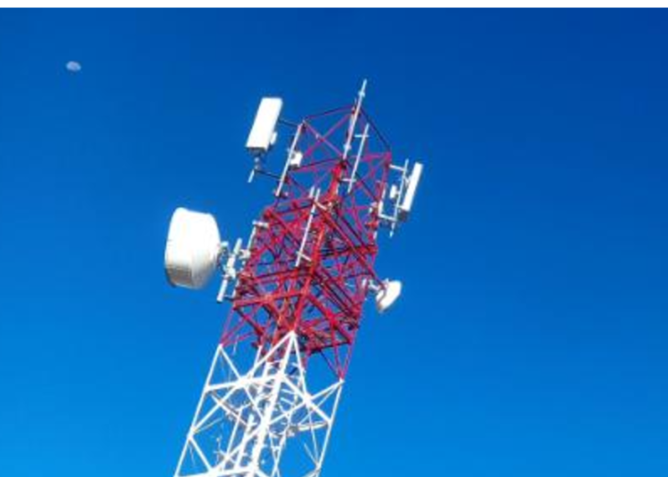 ७४९ स्थानीय तहमा फोजी सेवा विस्तार सेवा