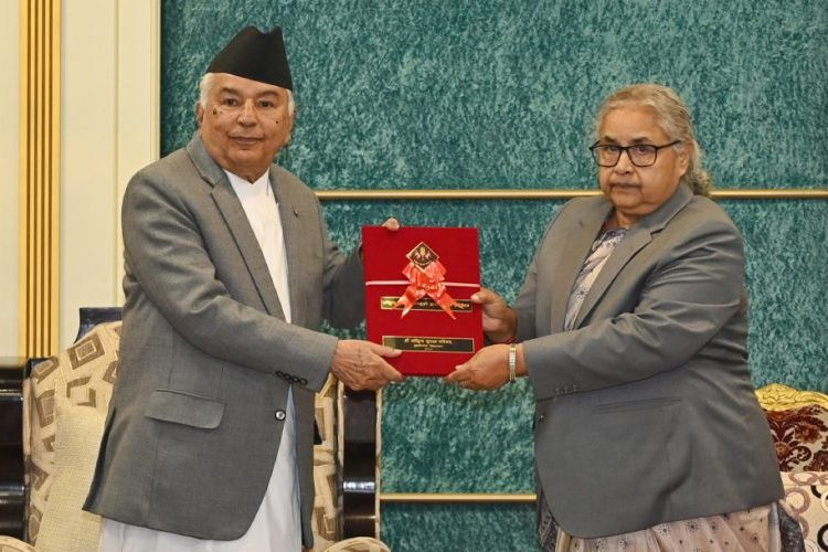 चुनावमा केन्द्रित गर्न सरकारलाई सुझाव