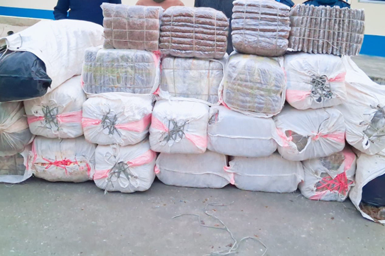 रंगेलीबाट ९ सय किलो भन्दा बढी गाँजा बरामद