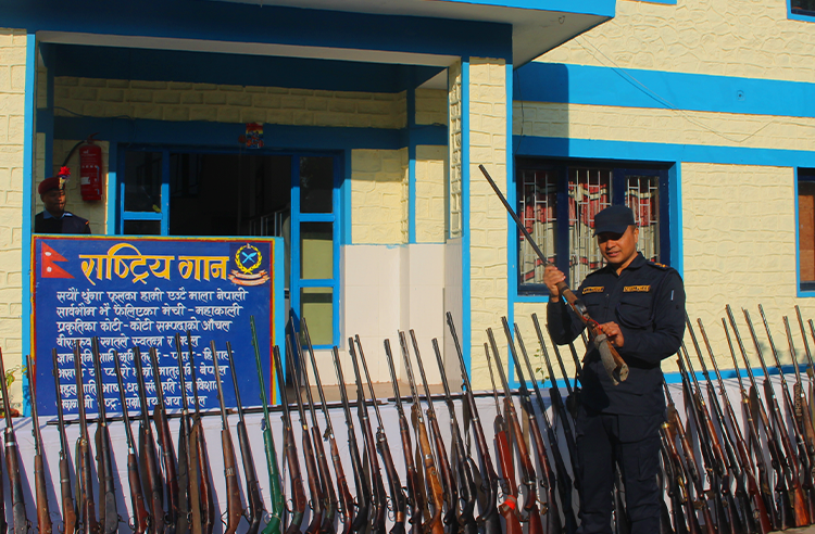 ११५ थान घरेलु बन्दूक बरामद