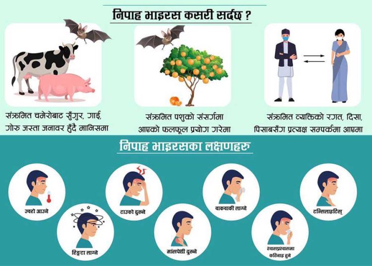 बंगालमा घातक ‘निपाह भाइरस’को संक्रमण पुष्टि