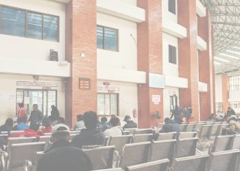 सार्वजनिक बिदामा पनि राहदानी सेवा जारी