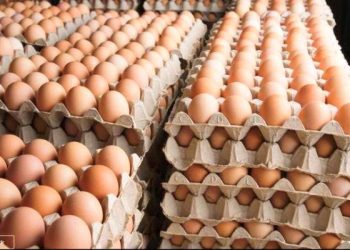 आजदेखि अण्डाको मूल्य बढ्याे