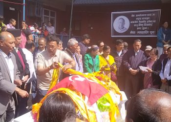 मातृभाषामा जीवन सर्मपण गरेका विष्णु चित्रकारको निधन (भिडियाे)