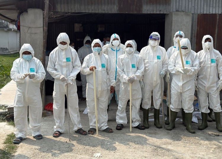 सुनसरी पोल्ट्री फार्ममा बर्डफ्लु