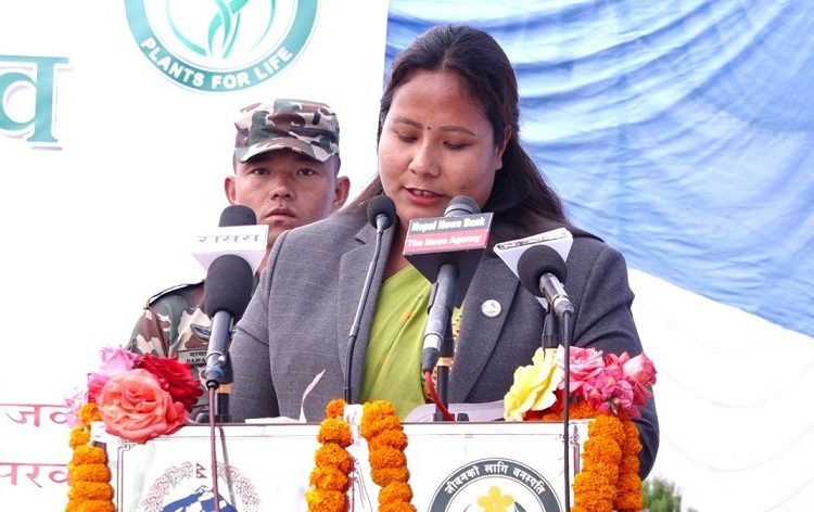 नेपालमा पाइने जडीबुटीबाट औषधि उत्पादनको ठुलो सम्भावना