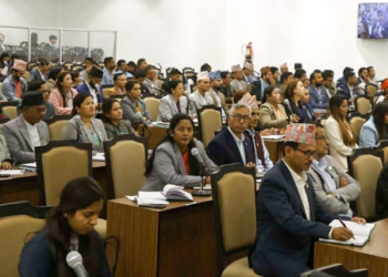 कानुन नलाग्ने खालको प्रतिनिधिसभा नियमावली बनाउने तयारी