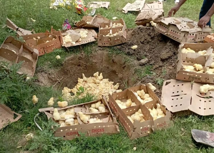 इलाका प्रहरी कार्यालय कृष्णानगर द्वारा अबैध चल्ला नष्ट