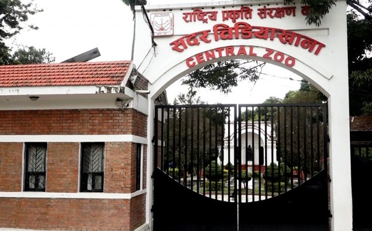 सदर चिडियाखाना बन्द