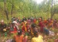संरक्षण र दिगो व्यवस्थापनबाट सिन्धुलीको बिचित्रा ठाकुर सामुदायिक वन जिल्लाकै नमुना बन्दै