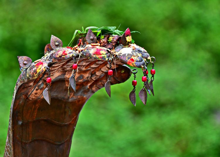 आज देशभरि नागपञ्चमी