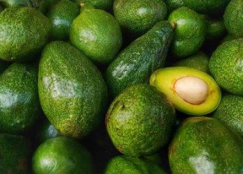 यस्ता छन्  एभोकाडो फलका फाइदाहरू