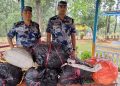 १ सय ३० किलो गाँजा बरामद