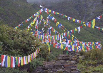 लुङ्दर हिमाली क्षेत्रका पर्यटकीय स्थलमा समेत देखिन थाल्याे