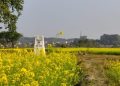 दशगजामा अतिक्रमणको समस्या