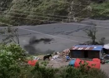 त्रिशूली दोभानसम्म नदी आसपासका क्षेत्रमा सतर्कता अपनाउन आग्रह